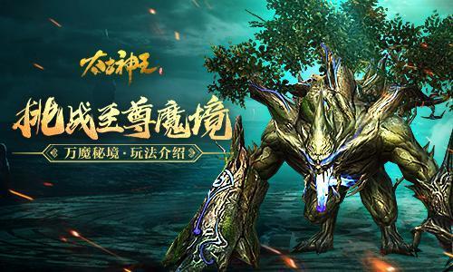 君铭咨询：一家小财关、全年俩项目，来自同一家券商、牵涉同一名保代